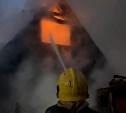 Видео пожара в южно-сахалинском СНТ "Лесник": как работали спасатели