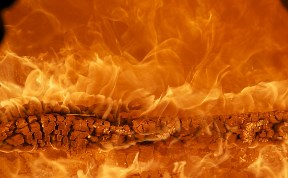 Происшествия