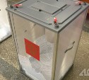 Сахалинцы смогут проголосовать на выборах в Госдуму, находясь за пределами региона