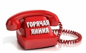 Общество