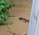 Водонасосную станцию обесточили в Томаринском районе из-за большого потока воды