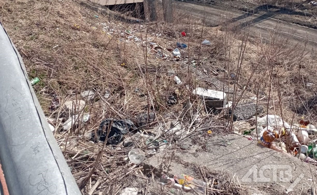 Два самосвала мусора вывезли со склона, который портил пейзаж по дороге на Пригородное