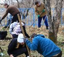 Могилы погибших военных лётчиков привели в порядок в урочище Ольховатка