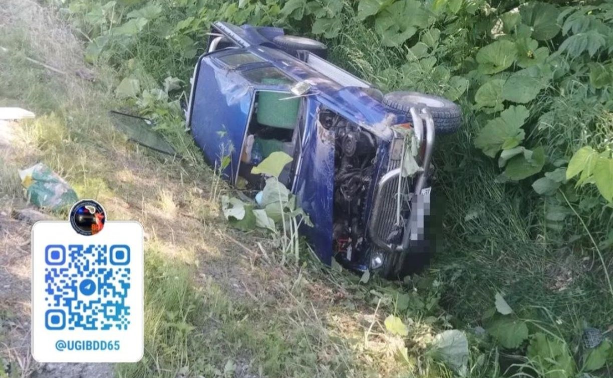 Опасный манёвр привёл к серьёзной аварии на юге Сахалина - пострадала пенсионерка