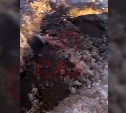 "Чуть бампер не оставила!": в соцсетях появилось видео больших ям на дороге Чехов - Красногорск