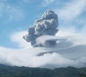 Вулкан Эбеко выбросил пепел почти на два километра 