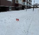 В Южно-Сахалинске оштрафуют любителей парковки на заснеженном газоне