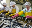 Промышленно-логистический комплекс для производства рыбной продукции хотят создать на Парамушире