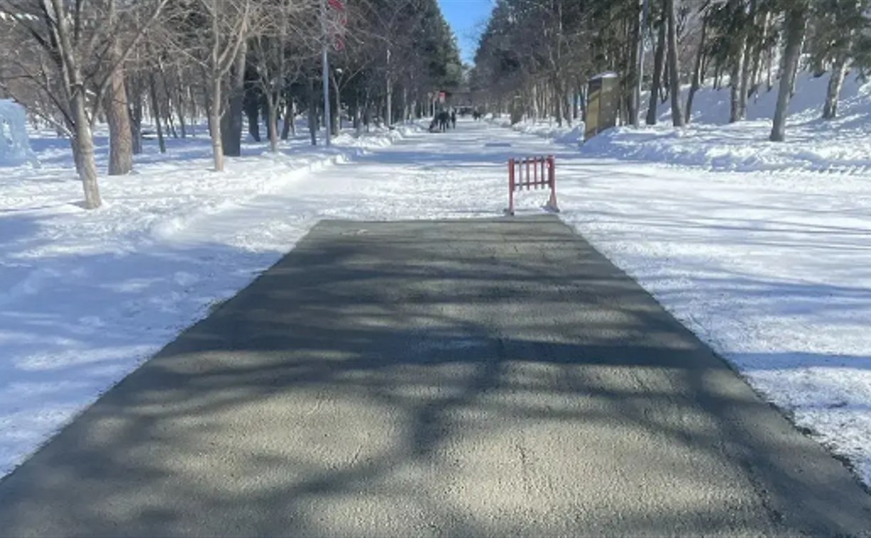 В парке имени Ю. Гагарина временно восстановлена пешеходная дорожка