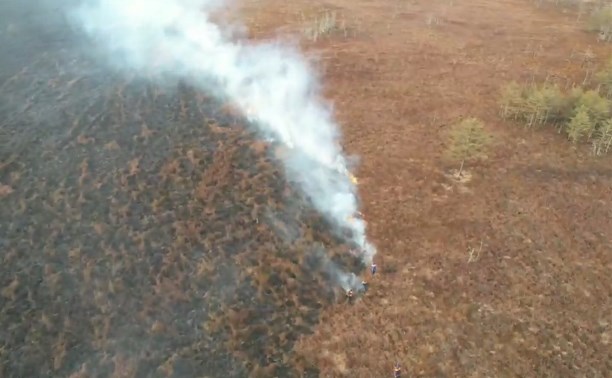 Спасатели опубликовали кадры масштабного пожара в районе Мицулевки