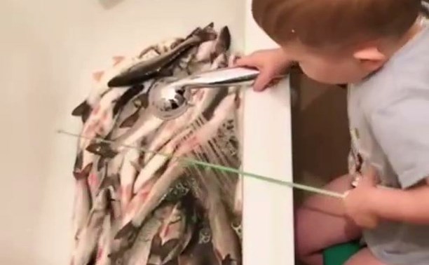 Лучшее видео дня: на Сахалине ребёнок поймал живую рыбу в ванне