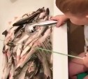 Лучшее видео дня: на Сахалине ребёнок поймал живую рыбу в ванне