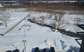 Общество