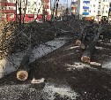 Больше 20 деревьев спилили рабочие возле новостройки в Поронайске