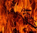 Началось: во время жарких выходных на Сахалине массово стала гореть трава 