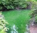 "Потому что купались": на Курилах всего за год исчезло уникальное изумрудное озеро