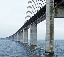 Эксперты: строительство моста на Сахалин не окажет негативного влияния на экологию