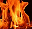 Заброшенное строение полыхало в СНТ "Коммунальник" в Южно-Сахалинске