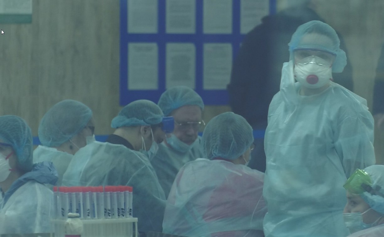 До пика эпидемии коронавируса в России осталось две недели