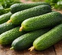 Огурцы обогнали мясо: цены в регионах взлетели до 900 рублей за килограмм