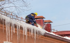 Общество
