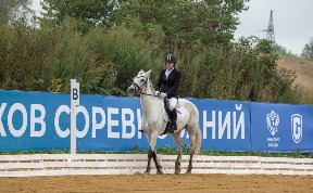 Спорт