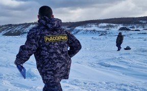 Общество