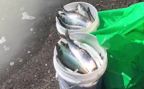 Общество