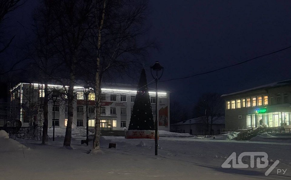 "Ёлочка, не гори!": в Макарове потушили новогоднюю иллюминацию