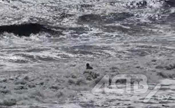 Сахалинец искупался в штормовом море во время прохождения "Хиннамнора"