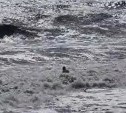 Сахалинец искупался в штормовом море во время прохождения "Хиннамнора"
