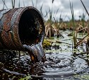 Суд обязал сахалинскую колонию рекультивировать земли после сброса нечистот на болото