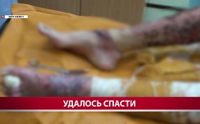 Общество