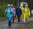 Сахалинцы в дождь преодолели 5-километровую трассу во Всероссийский день ходьбы