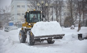 Общество