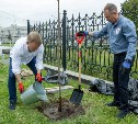 Сирень, липы и арт-объект в виде сердца: в Южно-Сахалинске открыли Аллею счастливого материнства