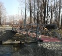 Северную и южную части села Березняки соединил временный мост