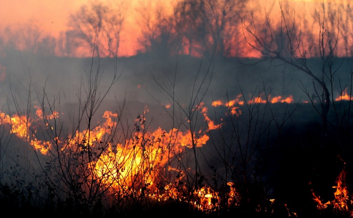 Собственников земли в РФ хотят заставить тушить пожары