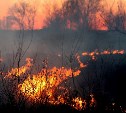 Собственников земли в РФ хотят заставить тушить пожары