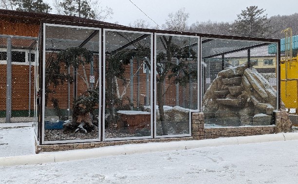 В сахалинском зоопарке для полуслепого Коляна построили вольер с панорамным видом