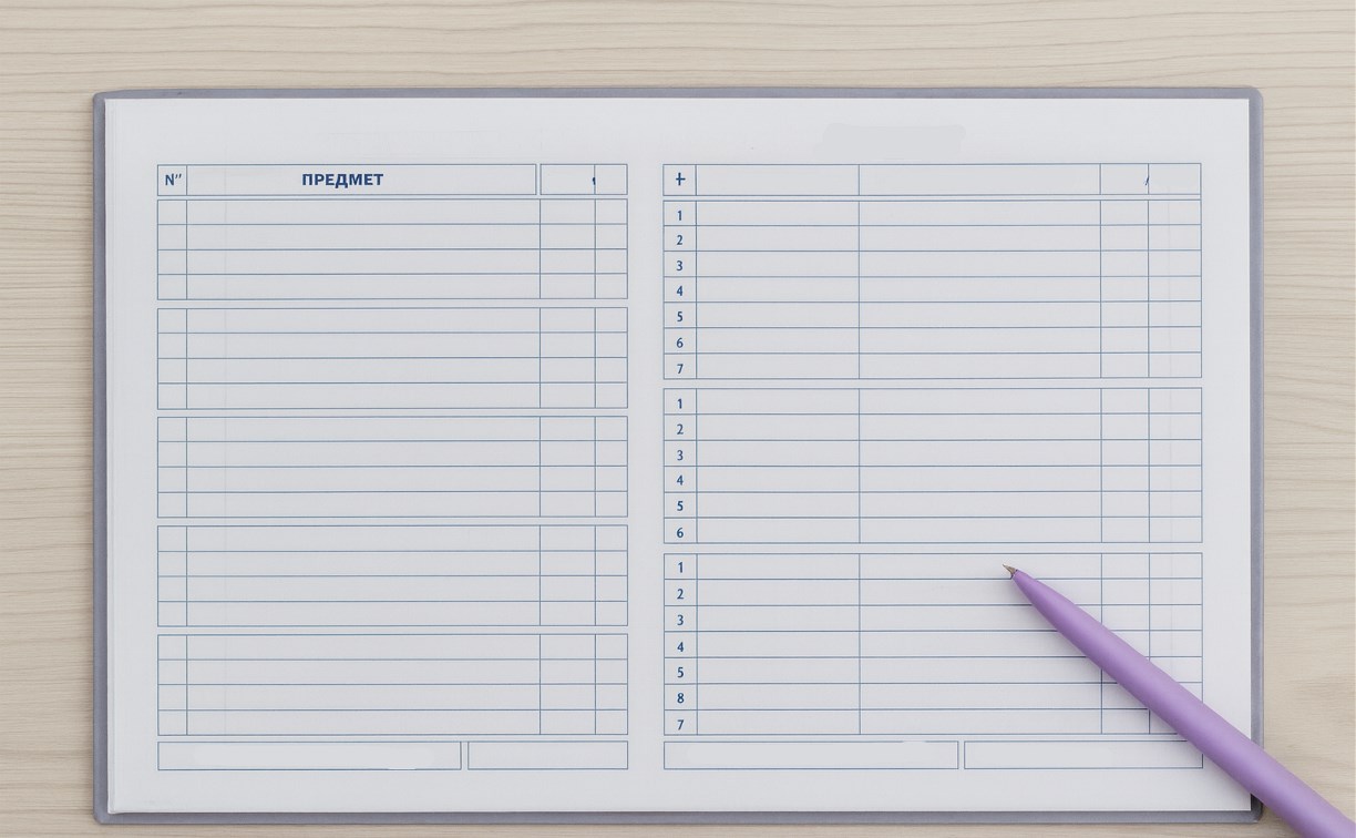 В Госдуме потребовали сделать электронные дневники бесплатными