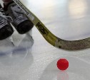 Новогодний турнир по  хоккею с мячом пройдет в Южно-Сахалинске