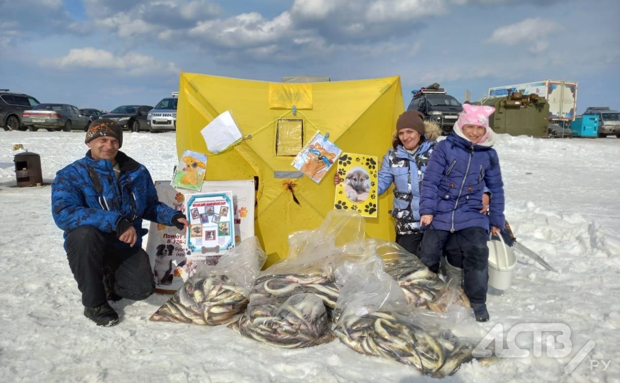 Ненужную навагу соберут на соревнованиях "Сахалинский лёд" и раздадут бездомным животным