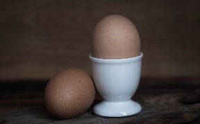 Происшествия