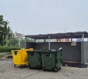 Жительница ДФО родила дома и выбросила новорожденную дочь в мусорный контейнер
