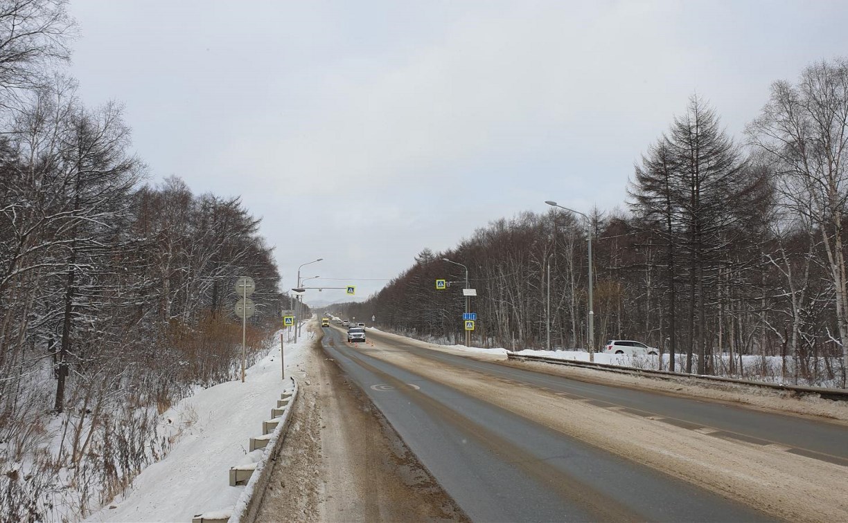 Полиция ищет очевидцев прошлогоднего ДТП на дороге Южно-Сахалинск-Корсаков