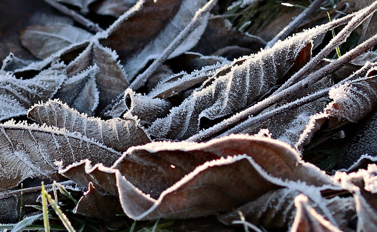 Ближе к нулю: составлен актуальный прогноз погоды на юге Сахалина 27 ноября