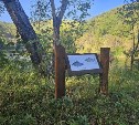 Выставка рисунков под открытым небом расположилась вдоль озера в селе Чехов