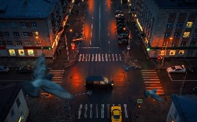 Происшествия