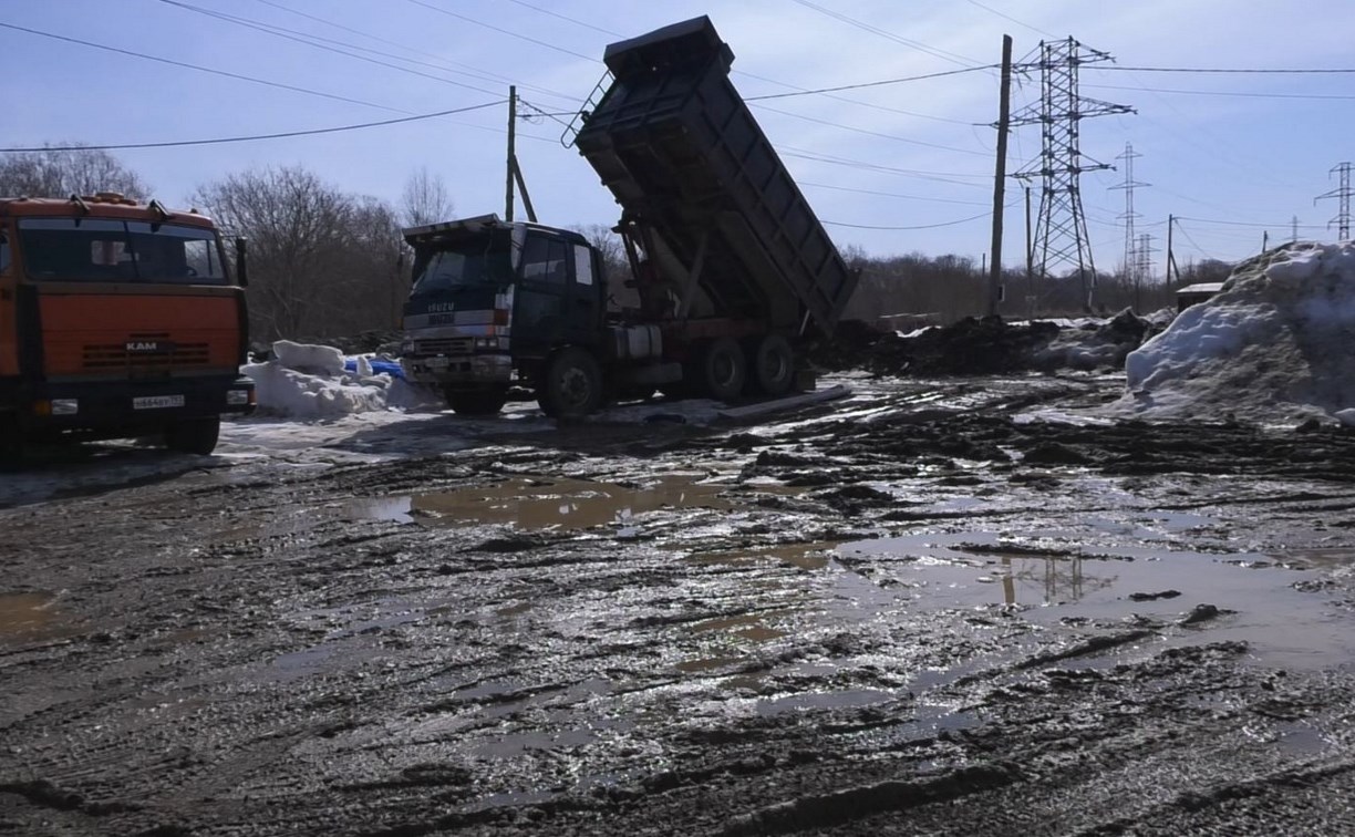 Разбитая грунтовка, мусор, шум и наглые коровы одолели жителей сахалинского СНТ